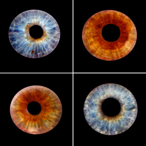 Iris Fotografie Familie